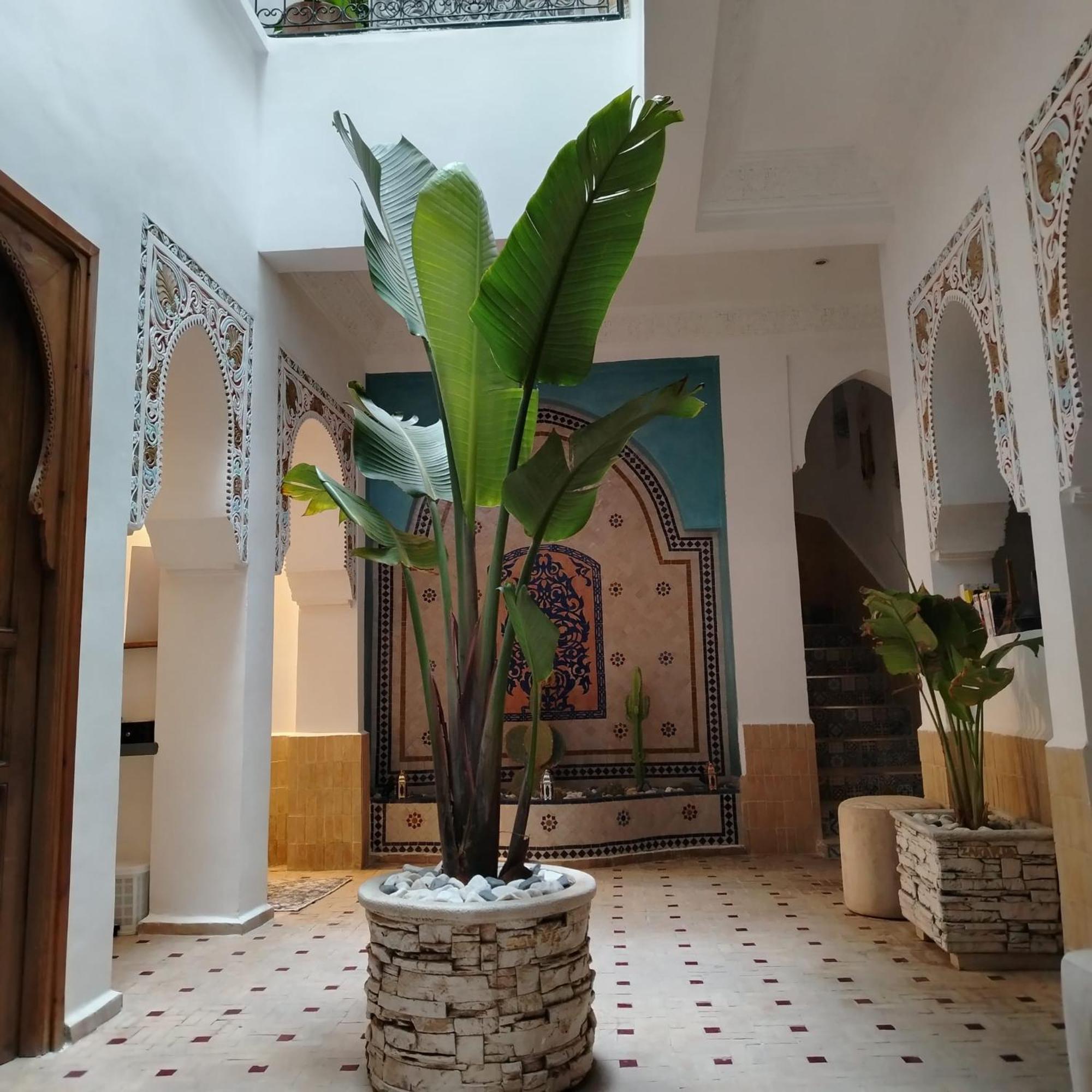 מרקש Riad & Spa Sous Le Soleil Chez Jerome Et Pamela Ch Marrakchi מראה חיצוני תמונה